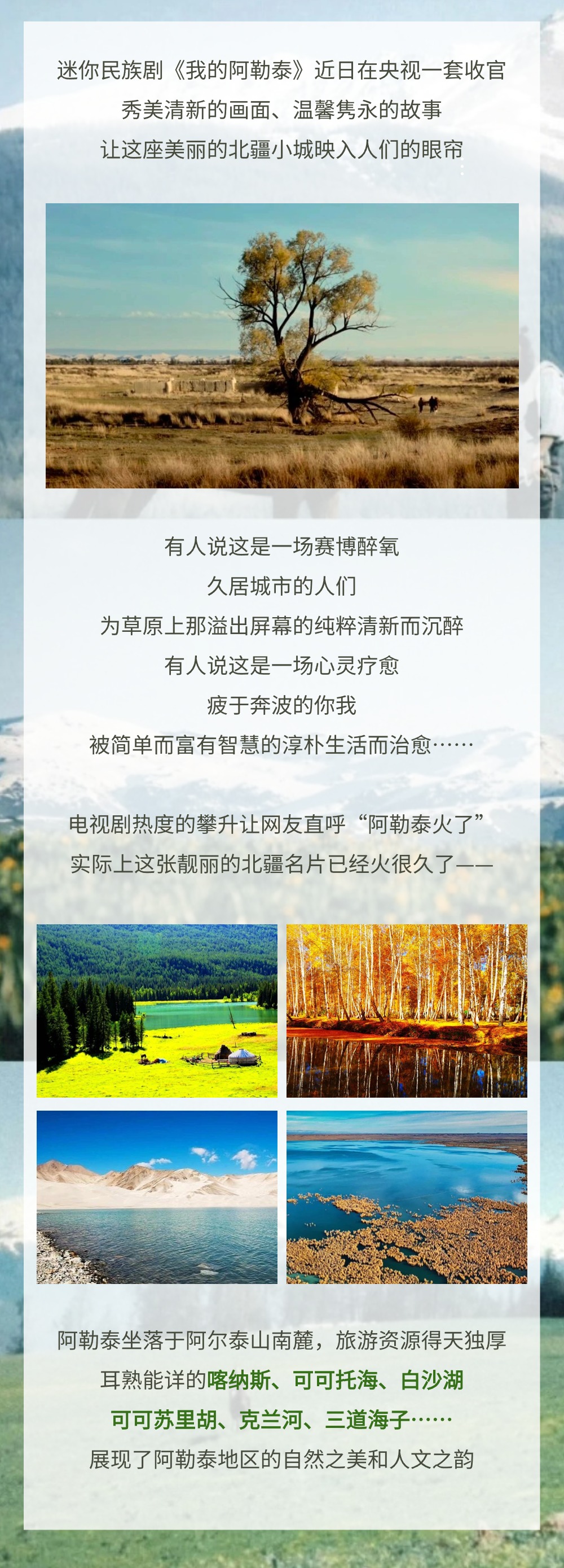 稿定设计-2.jpg